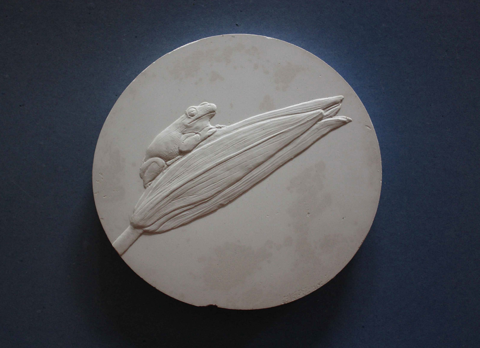 Relieve. MATILDE OLIVERA